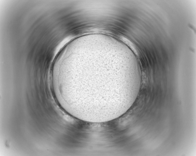 X0000093231098200710241231