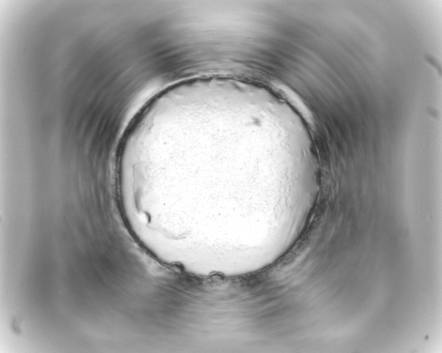 X0000093231099200710241231