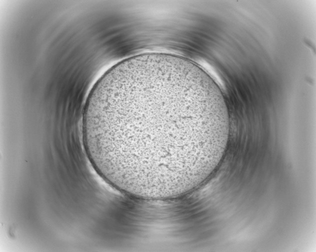 X0000093231100200710241231