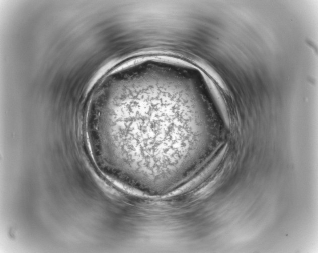 X0000093231101200710241231