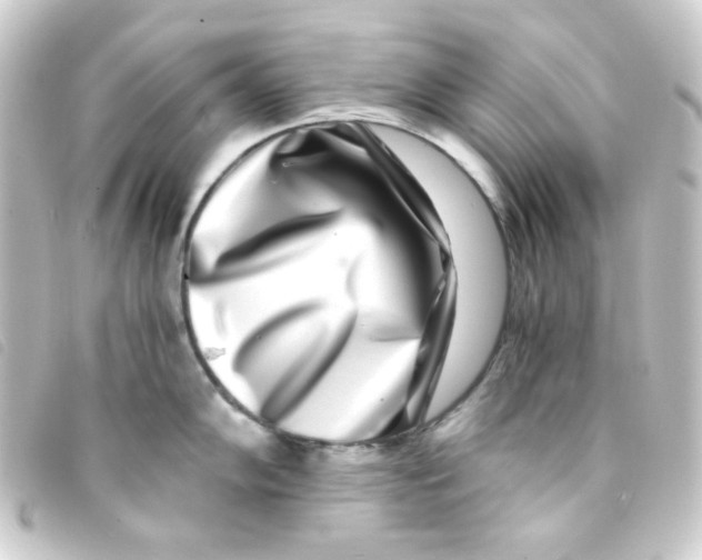 X0000093231102200710241231