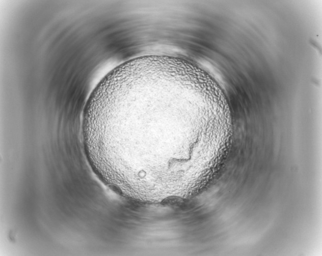 X0000093231103200710241231