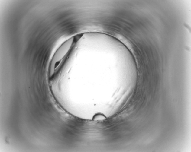 X0000093231104200710241231