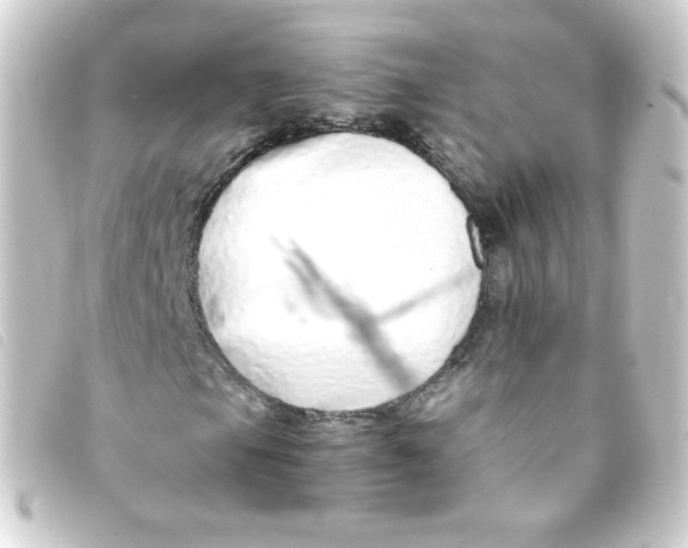 X0000093231105200710241230