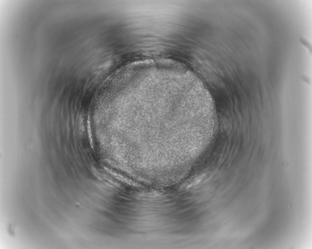 X0000093231106200710241230