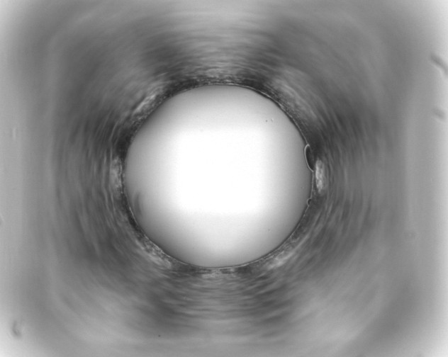 X0000093231107200710241230