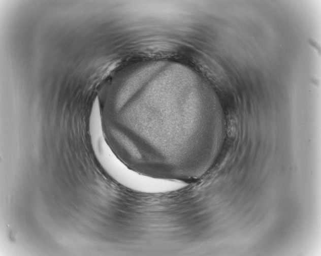 X0000093231108200710241230