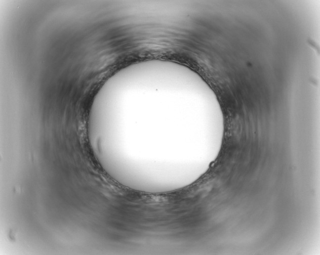 X0000093231109200710241230