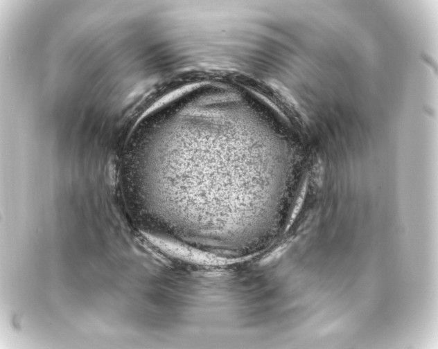 X0000093231110200710241230