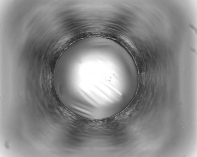 X0000093231111200710241230