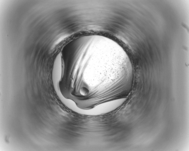 X0000093231112200710241230