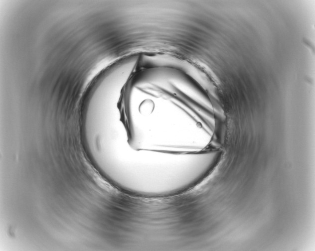 X0000093231114200710241230