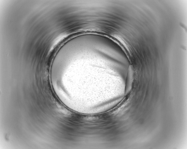 X0000093231115200710241230