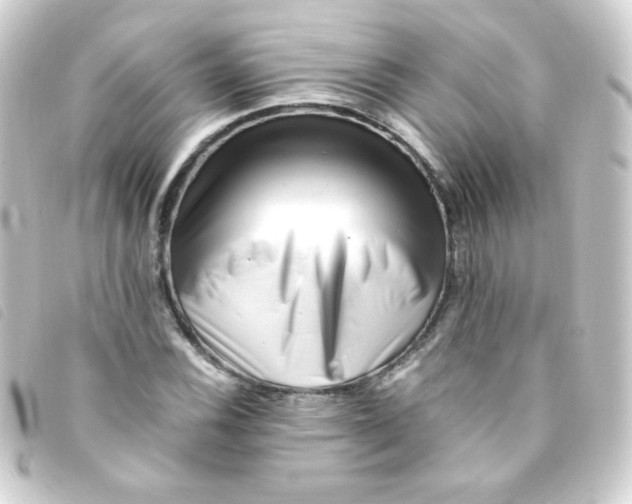 X0000093231116200710241230