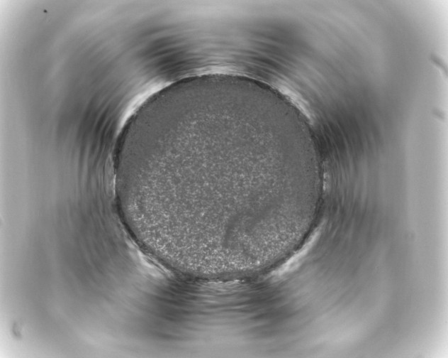 X0000093231117200710241230