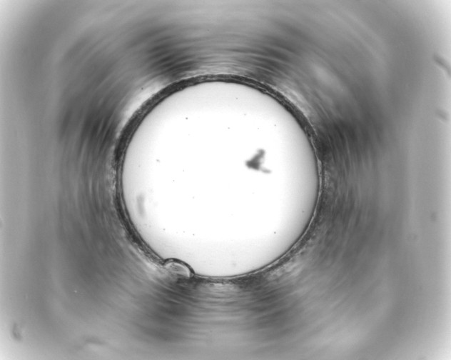 X0000093231119200710241230