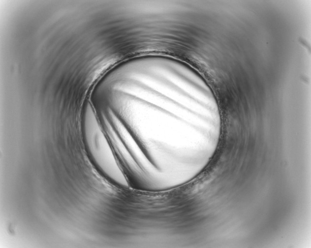 X0000093231121200710241230