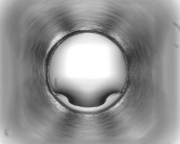 X0000093231122200710241230