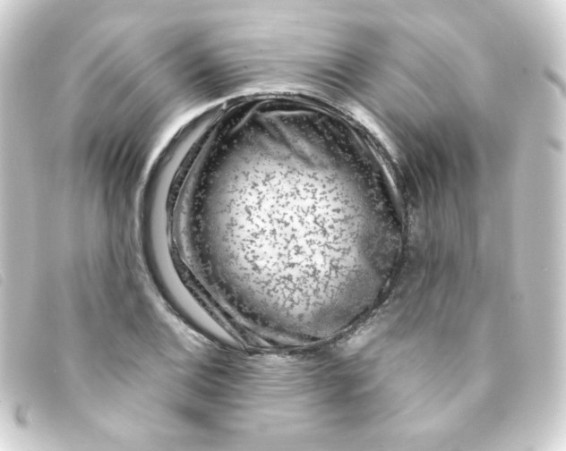 X0000093231124200710241230