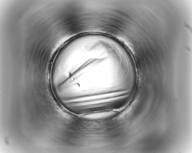 X0000093231125200710241230