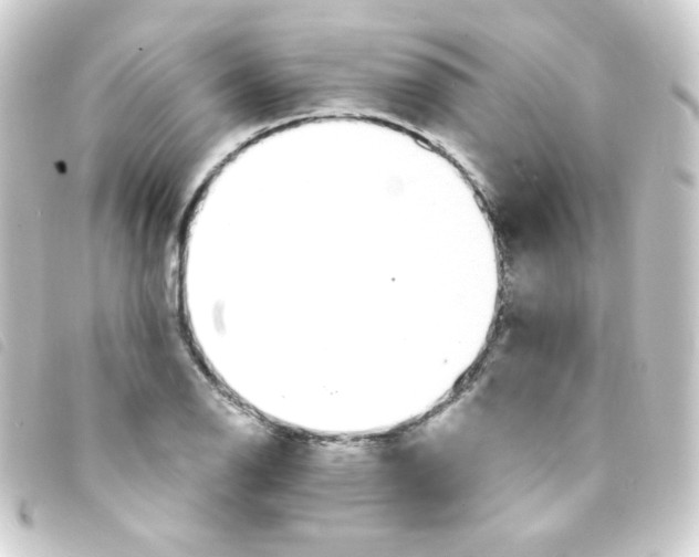 X0000093231126200710241230