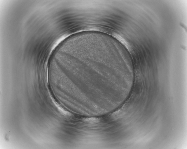 X0000093231127200710241230