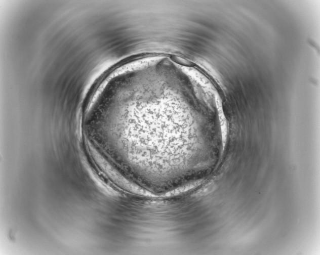 X0000093231128200710241230