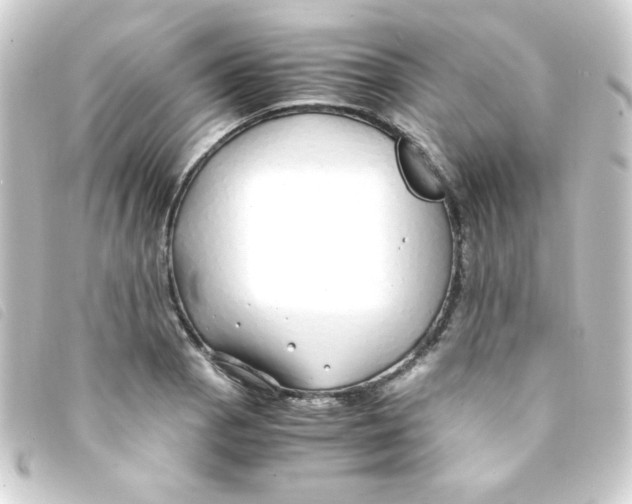 X0000093231129200710241230