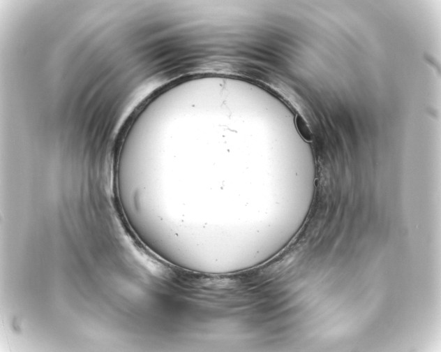 X0000093231131200710241230