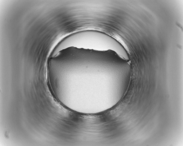 X0000093231132200710241230