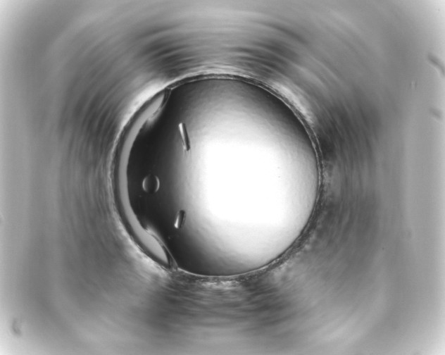 X0000093231133200710241230