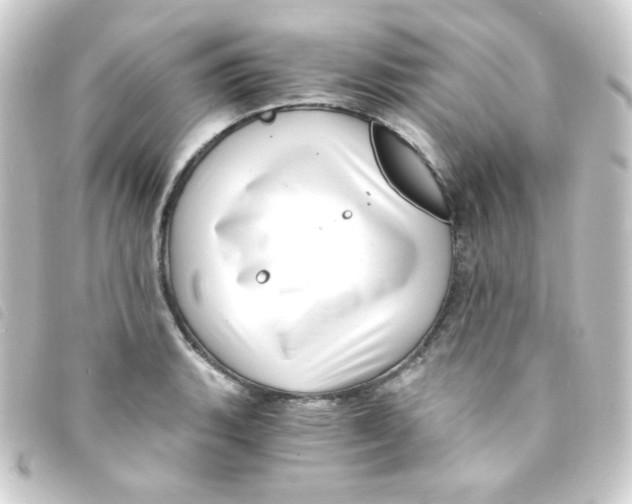 X0000093231135200710241230