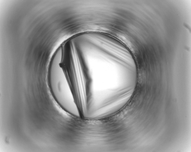 X0000093231136200710241230