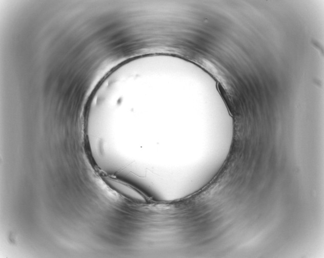 X0000093231140200710241230