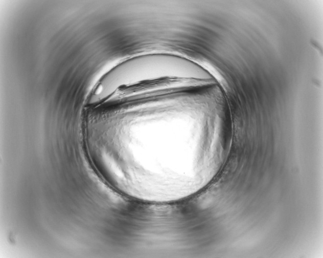 X0000093231142200710241231