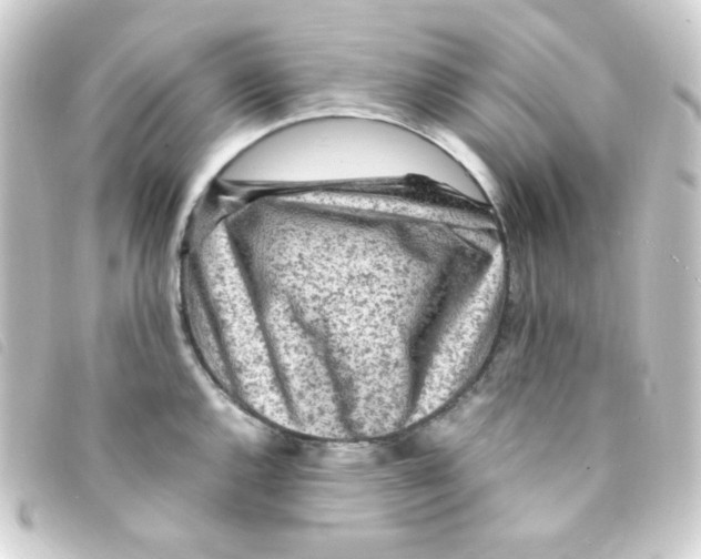 X0000093231144200710241231