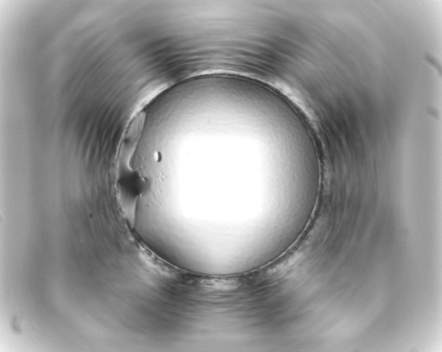 X0000093231145200710241231