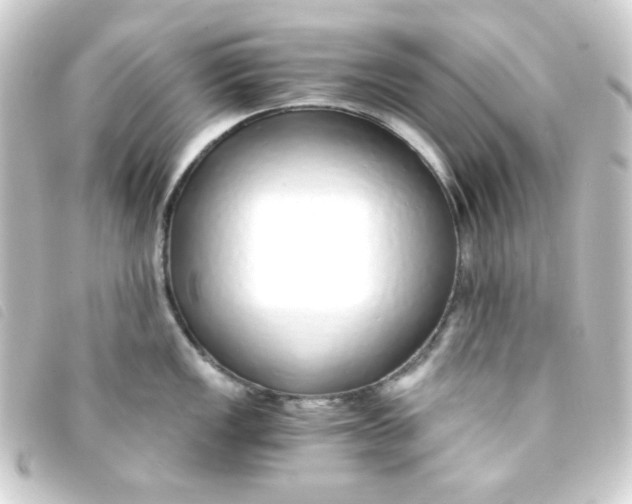 X0000093231149200710241231