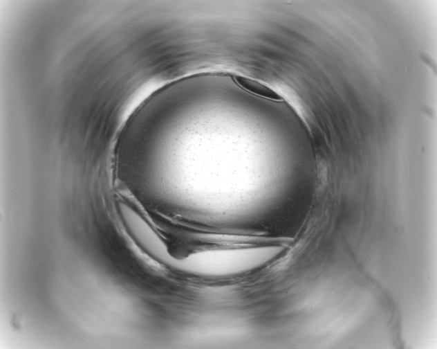 X0000093231151200710241231