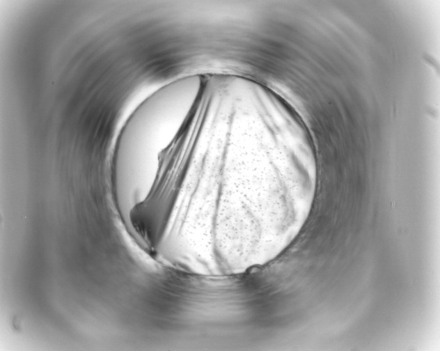 X0000093231152200710241231