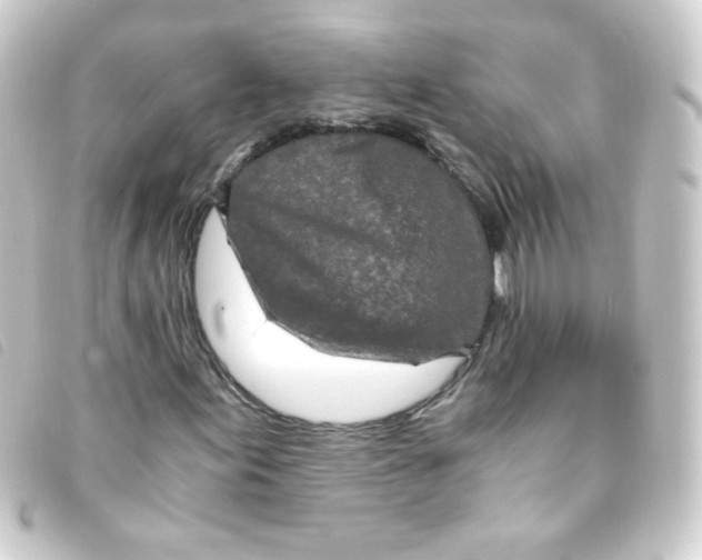 X0000093231155200710241230