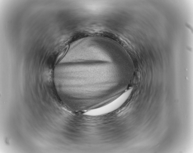 X0000093231156200710241230