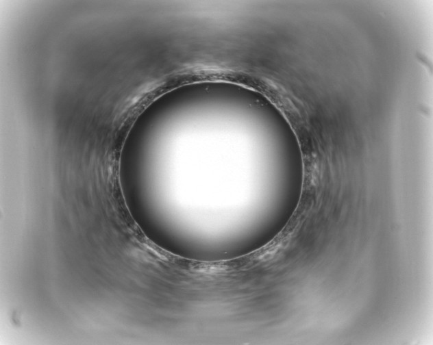 X0000093231157200710241230