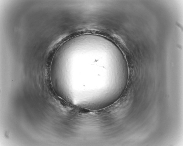 X0000093231159200710241230