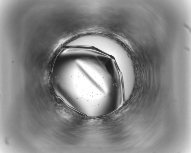 X0000093231160200710241230