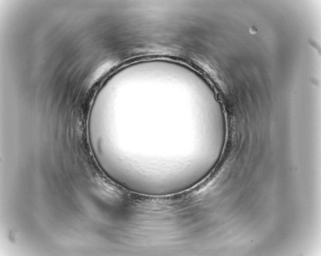 X0000093231163200710241230