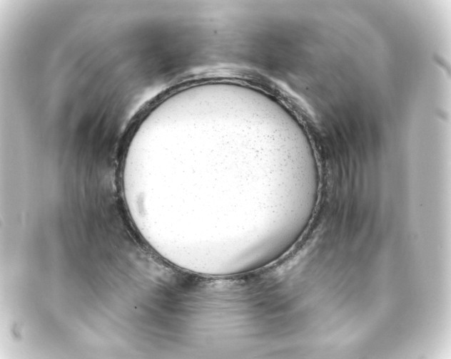 X0000093231166200710241230