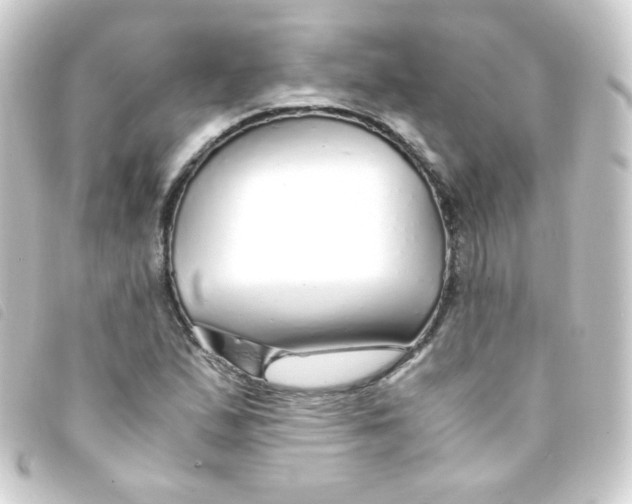 X0000093231167200710241230