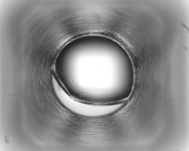 X0000093231169200710241230