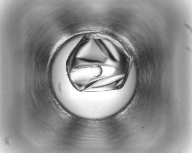 X0000093231172200710241230